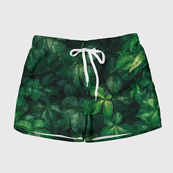 Женские шорты Тропическая листва Тропики Z