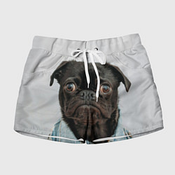 Женские шорты Мопс в джинсовке - голова групно