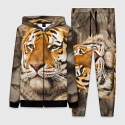 Женский 3D-костюм Мудрый тигр, цвет: 3D-черный