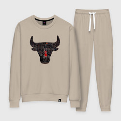 Женский костюм Bulls - Jordan