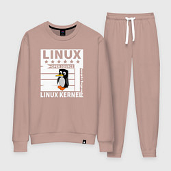 Костюм хлопковый женский Пингвин программист системы линукс, цвет: пыльно-розовый