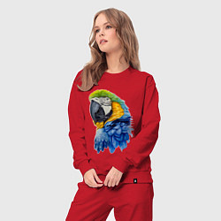 Костюм хлопковый женский Сине-золотой попугай ара, цвет: красный — фото 2