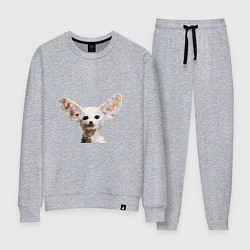 Костюм хлопковый женский Фенек лиса, цвет: меланж