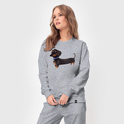 Костюм хлопковый женский Мультяшная собака такса, цвет: меланж — фото 2