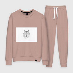 Костюм хлопковый женский Нарисованный волк зубами щёлк, цвет: пыльно-розовый
