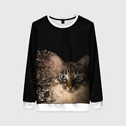 Свитшот женский Disintegrating Cat, цвет: 3D-белый