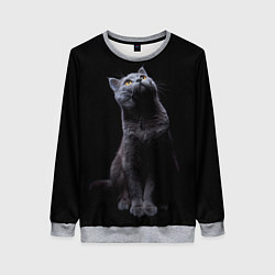 Свитшот женский Кот Британец, цвет: 3D-меланж