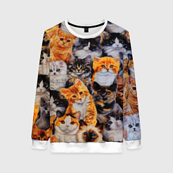 Свитшот женский КОТЯТКИ, цвет: 3D-белый