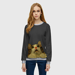 Свитшот женский Коте смотрит вверх, цвет: 3D-меланж — фото 2