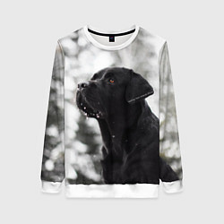 Свитшот женский Лабрадор Марк, цвет: 3D-белый