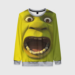 Свитшот женский Shrek is Yelling, цвет: 3D-меланж