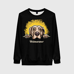 Женский свитшот Веймаранер Weimaraner