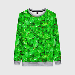 Свитшот женский Зелёные листья - текстура, цвет: 3D-меланж