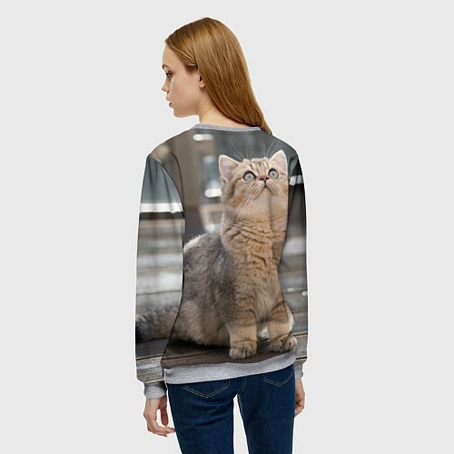 Женский свитшот Британская короткошёрстная кошка смотрит вверх / 3D-Меланж – фото 4