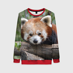 Свитшот женский Красная панда, цвет: 3D-красный