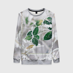 Свитшот женский Green winter, цвет: 3D-меланж