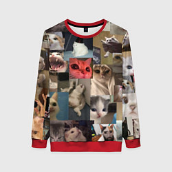 Свитшот женский Мемные котики, цвет: 3D-красный
