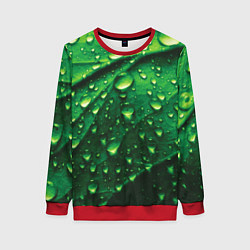 Свитшот женский Утренняя роса, цвет: 3D-красный