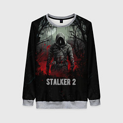 Свитшот женский Stalker 2 dark mode, цвет: 3D-меланж