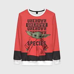 Женский свитшот Грогу