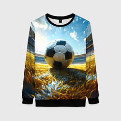 Свитшот женский Футбольный мяч на стадионе, цвет: 3D-черный