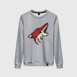 Женский свитшот Phoenix Coyotes