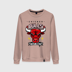 Женский свитшот Chicago Bulls est. 1966