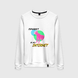 Свитшот хлопковый женский Привет я из internet, цвет: белый