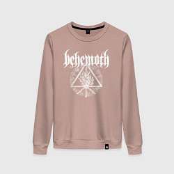Свитшот хлопковый женский Behemoth, цвет: пыльно-розовый