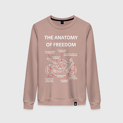 Женский свитшот The Anatomy of Freedom