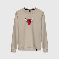 Свитшот хлопковый женский CHICAGO BULLS, цвет: миндальный