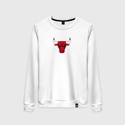 Женский свитшот CHICAGO BULLS