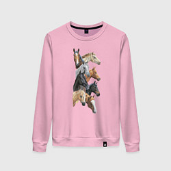 Женский свитшот Лошади