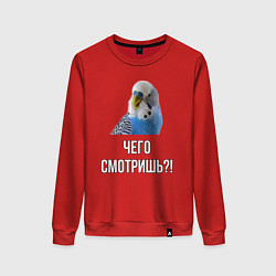Женский свитшот Чего смотришь!?