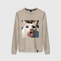 Свитшот хлопковый женский Мем про кота, цвет: миндальный