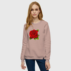Свитшот хлопковый женский Красная роза Рисунок, цвет: пыльно-розовый — фото 2