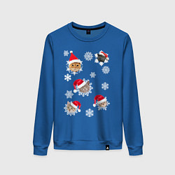 Свитшот хлопковый женский Новогодние Коты в Шапках, цвет: синий