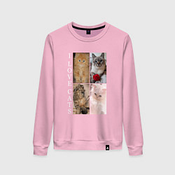 Свитшот хлопковый женский I LOVE CATS Я ЛЮБЛЮ КОШЕК, цвет: светло-розовый