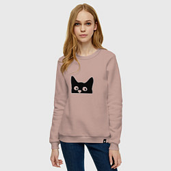 Свитшот хлопковый женский Котяра cat, цвет: пыльно-розовый — фото 2