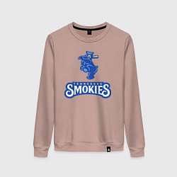 Женский свитшот Tennessee smokies - baseball team