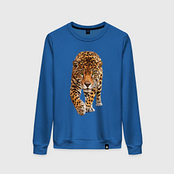 Свитшот хлопковый женский Бесстрашный ягуар, цвет: синий