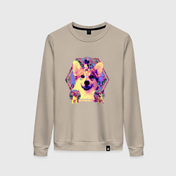 Женский свитшот Коллаж с Корги Психоделика