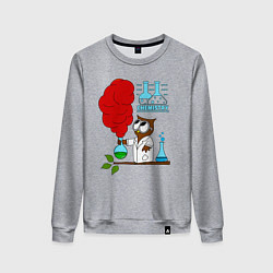 Женский свитшот Сова химик