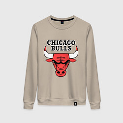 Свитшот хлопковый женский Chicago Bulls, цвет: миндальный