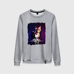 Женский свитшот Stray: Котик бродяжка