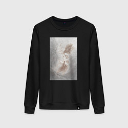 Женский свитшот Парное падение