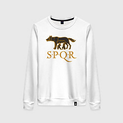 Женский свитшот Капитолийская волчица SPQR