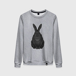 Женский свитшот Черный водяной кролик - 2023