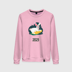 Свитшот хлопковый женский Кролик 2023, цвет: светло-розовый