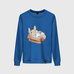 Свитшот хлопковый женский Тоторо в коробке, цвет: синий